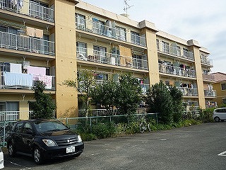 P1040954.jpg