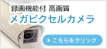 メガピクセルカメラ